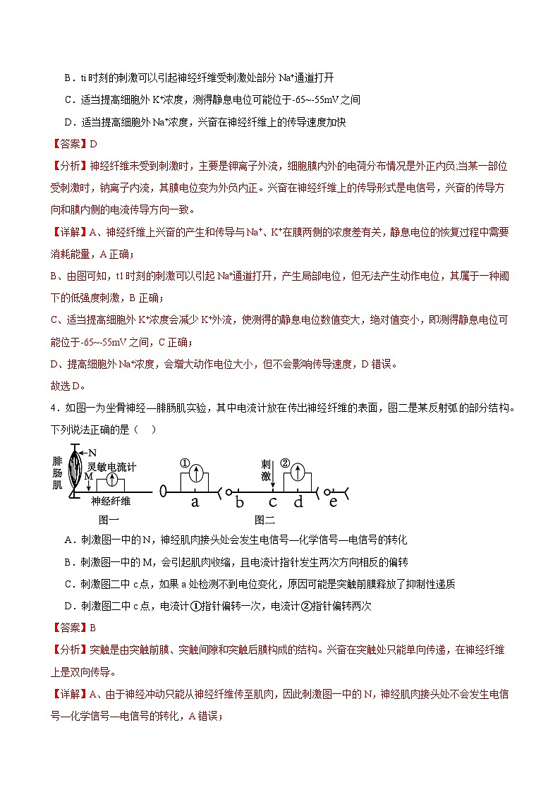 浙教版2019高二生物选择性必修1 2.2神经冲动的产生和传导 分层练习03