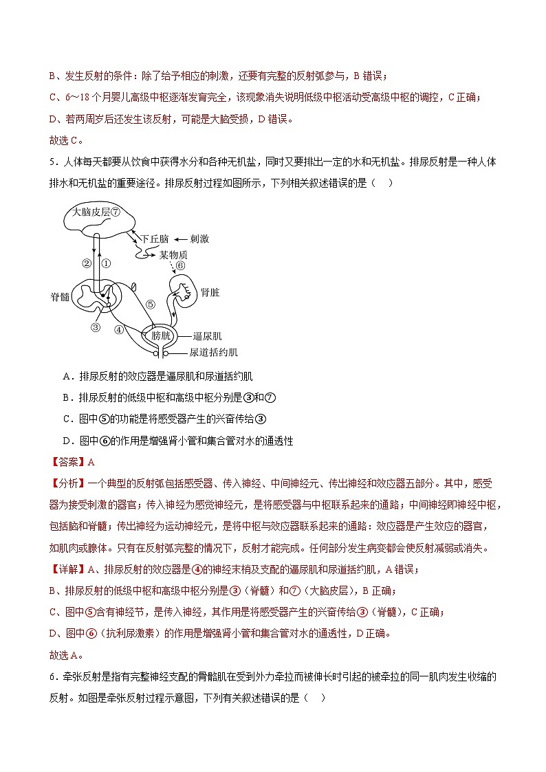 浙教版2019高二生物选择性必修1 2.3人体通过神经调节对刺激做出反应 分层练习03