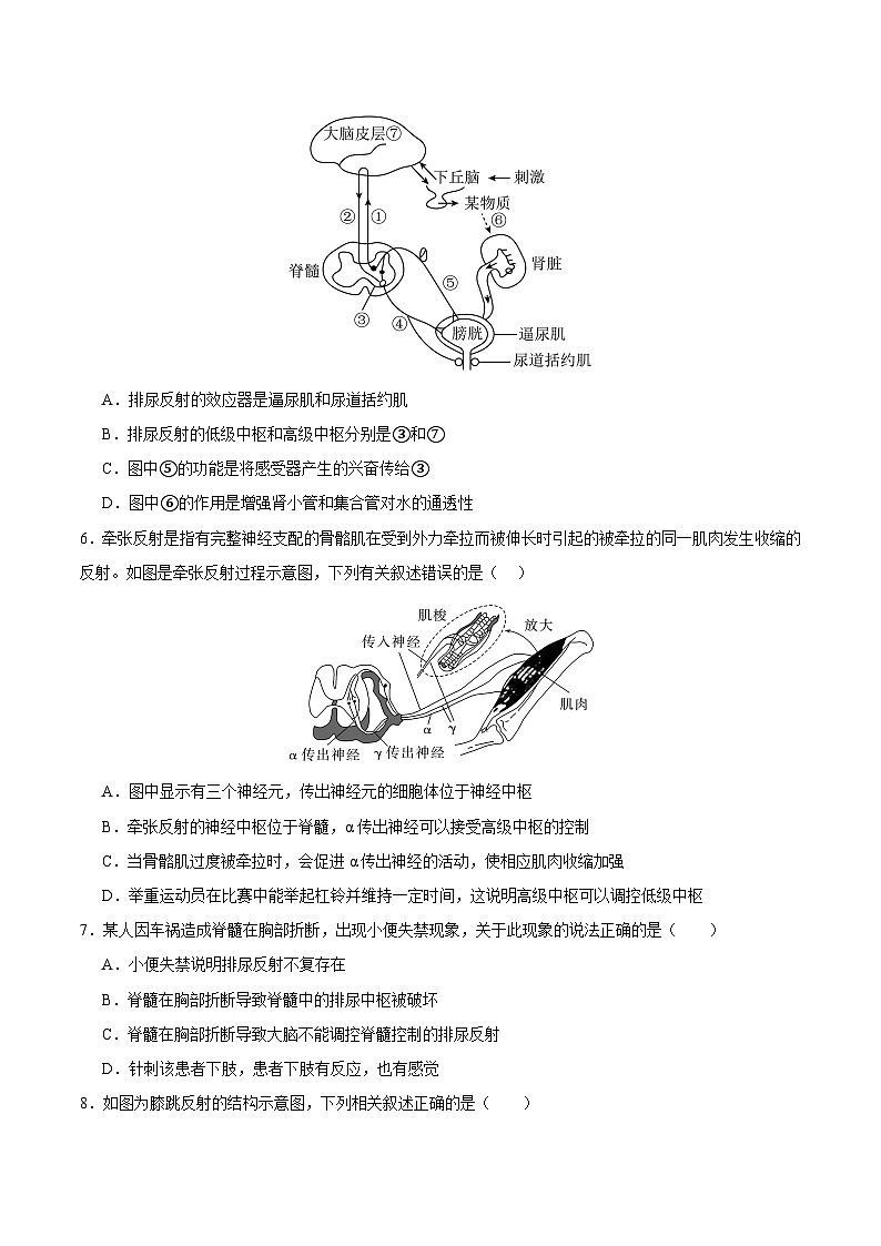 浙教版2019高二生物选择性必修1 2.3人体通过神经调节对刺激做出反应 分层练习02
