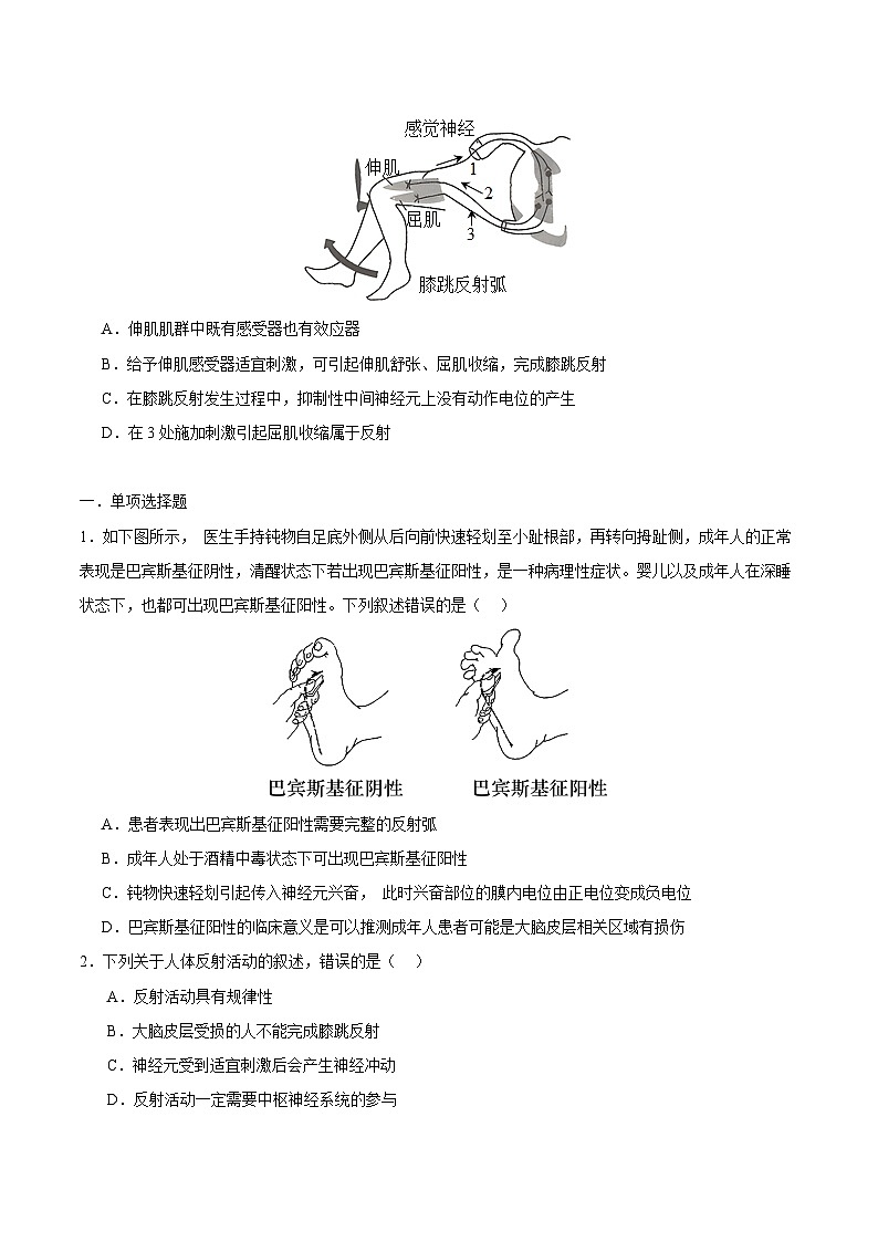 浙教版2019高二生物选择性必修1 2.3人体通过神经调节对刺激做出反应 分层练习03