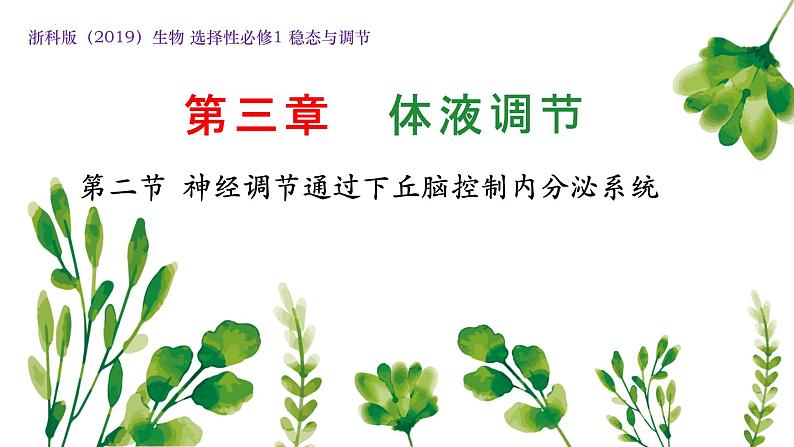 浙教版2019高二生物选择性必修1 3.2神经系统通过下丘脑控制内分泌系统 课件第1页