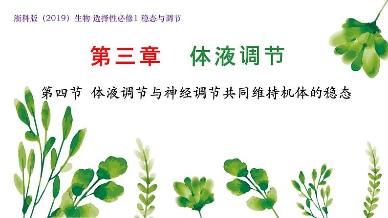 浙教版2019高二生物选择性必修1 3.4体液调节和神经调节共同维持机体的稳态 课件01