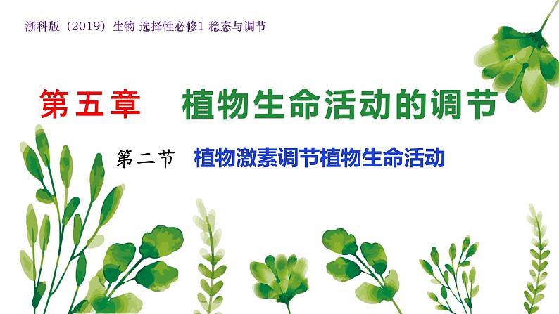 浙教版2019高二生物选择性必修1 5.2植物激素调节植物生命活动 课件第1页