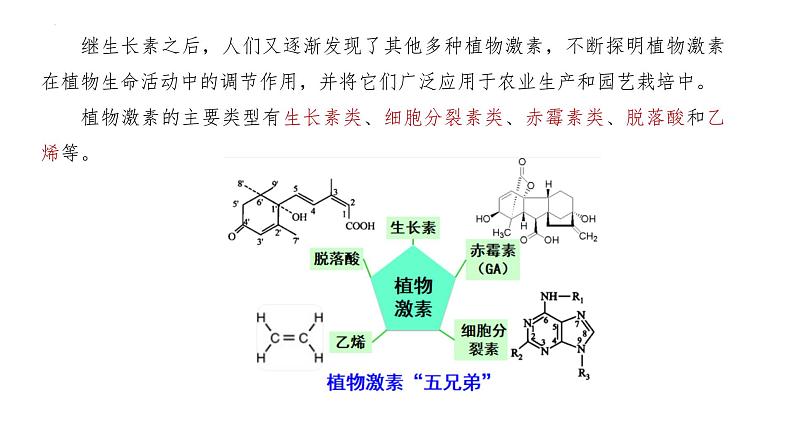 浙教版2019高二生物选择性必修1 5.2植物激素调节植物生命活动 课件第2页