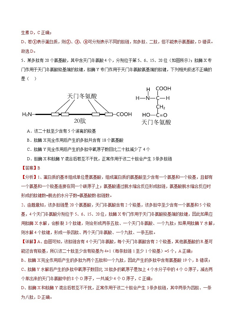 浙科版2019高一生物必修一 1.2生物大分子以碳链为骨架(第2课时蛋白质) 分层练习03