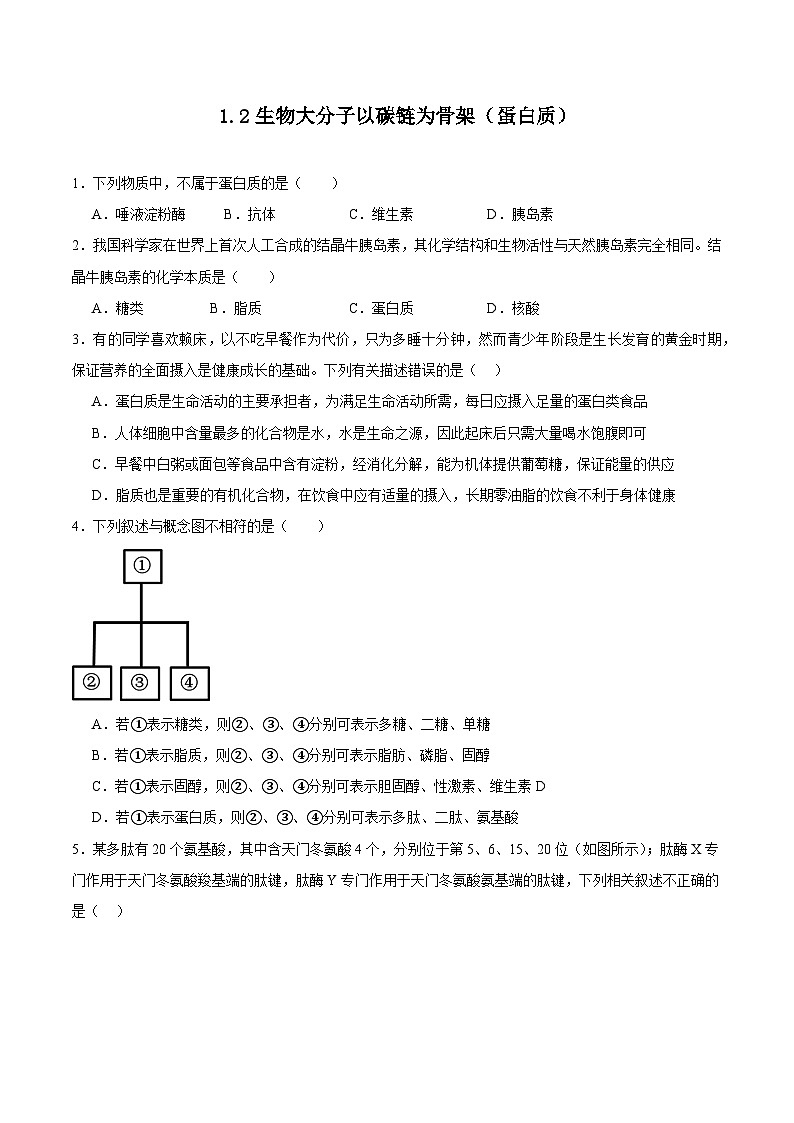 浙科版2019高一生物必修一 1.2生物大分子以碳链为骨架(第2课时蛋白质) 分层练习01