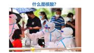 浙科版 (2019)必修1《分子与细胞》第二节 生物大分子以碳链为骨架一等奖ppt课件