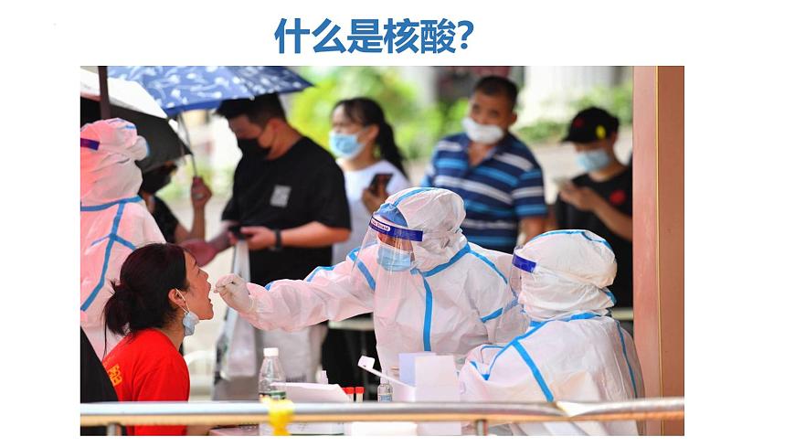 浙科版2019高一生物必修一 1.2生物大分子以碳鏈為骨架（第3課時核酸、三大有機物檢測） 課件第1頁