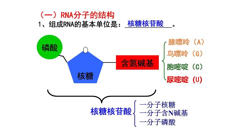 浙科版2019高一生物必修一 1.2生物大分子以碳鏈為骨架（第3課時核酸、三大有機物檢測） 課件第3頁