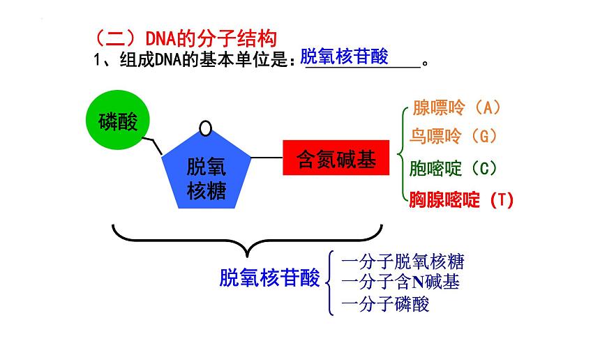 浙科版2019高一生物必修一 1.2生物大分子以碳鏈為骨架（第3課時核酸、三大有機物檢測） 課件第4頁