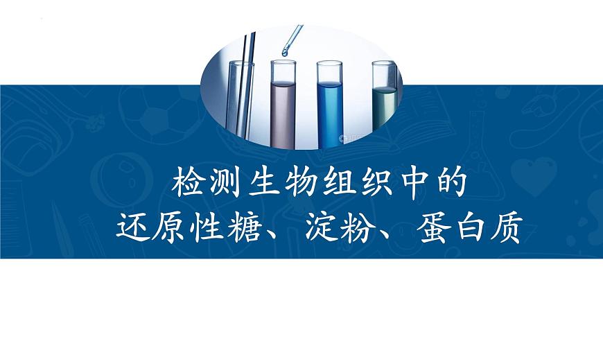 浙科版2019高一生物必修一 1.2生物大分子以碳鏈為骨架（第3課時核酸、三大有機物檢測） 課件第8頁