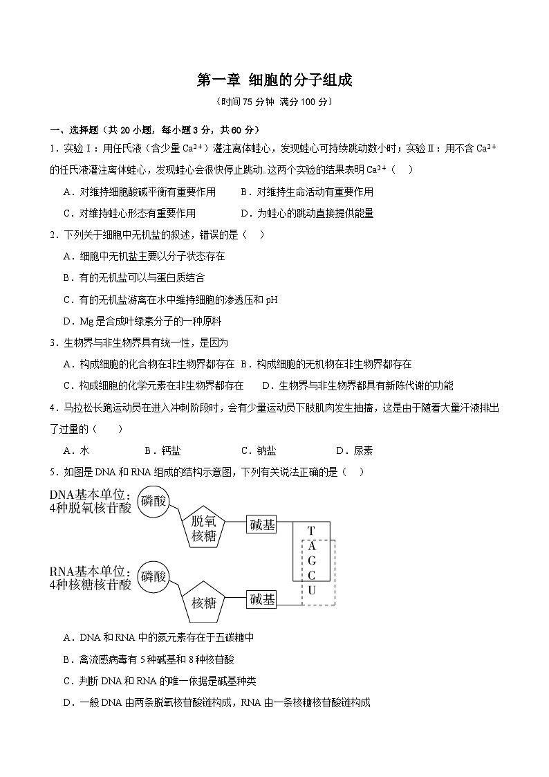 浙科版2019高一生物必修一 第一章细胞的分子组成 单元测试01