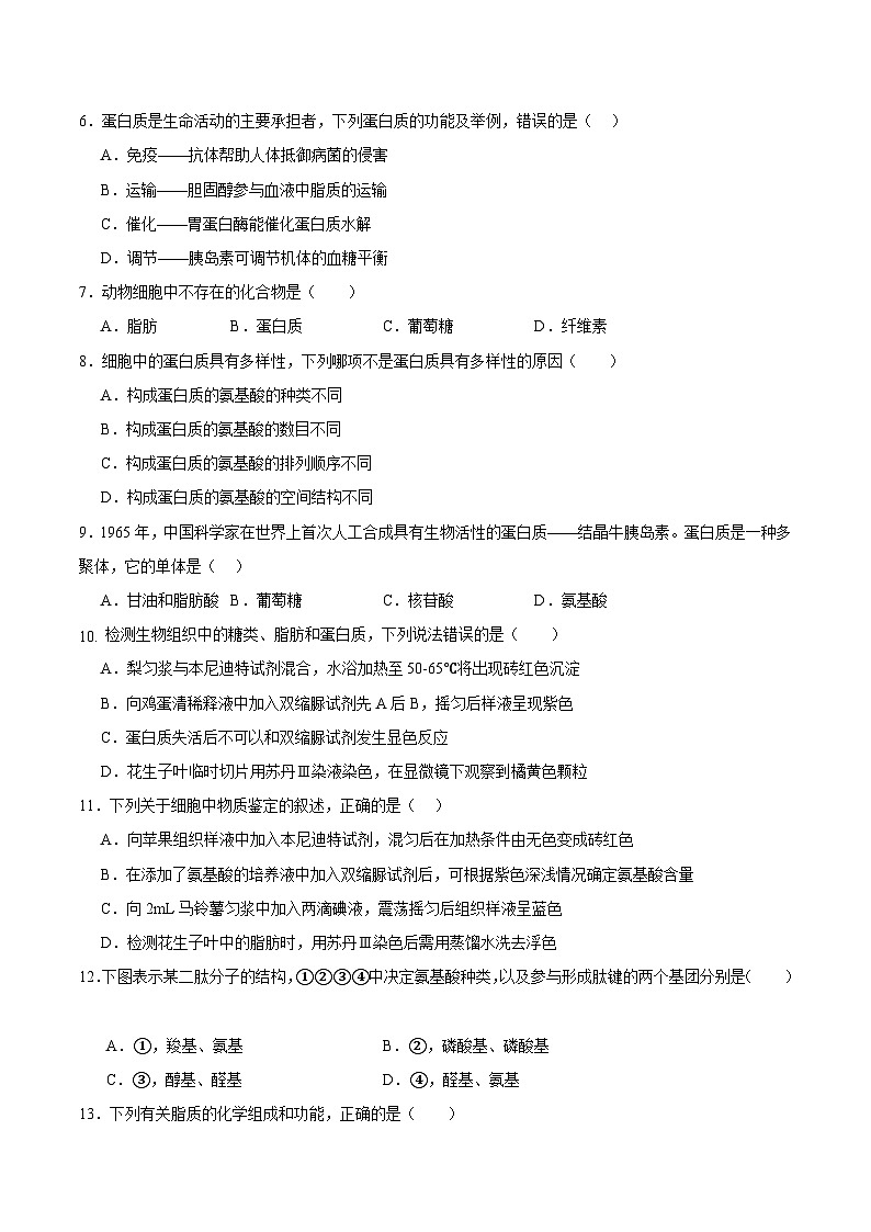 浙科版2019高一生物必修一 第一章细胞的分子组成 单元测试02