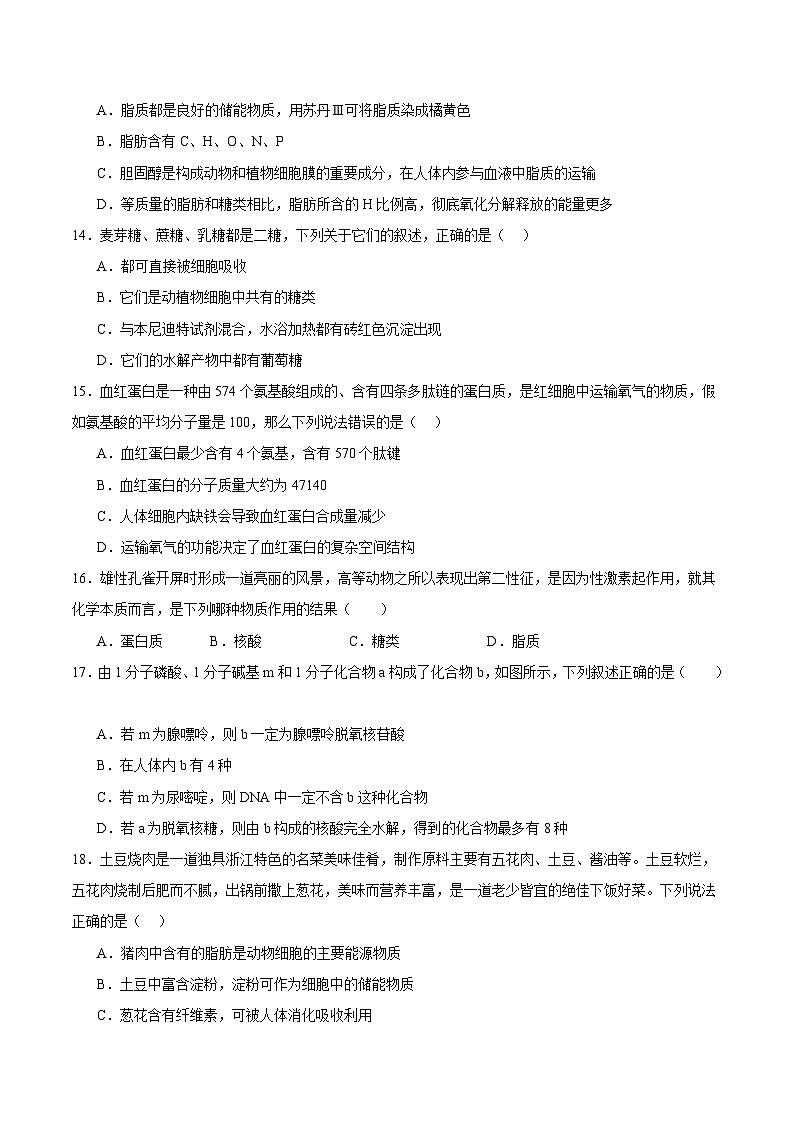 浙科版2019高一生物必修一 第一章细胞的分子组成 单元测试03