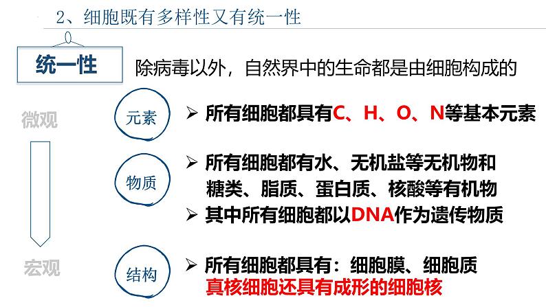 浙科版2019高一生物必修一 2.1细胞是生命的单位 课件07