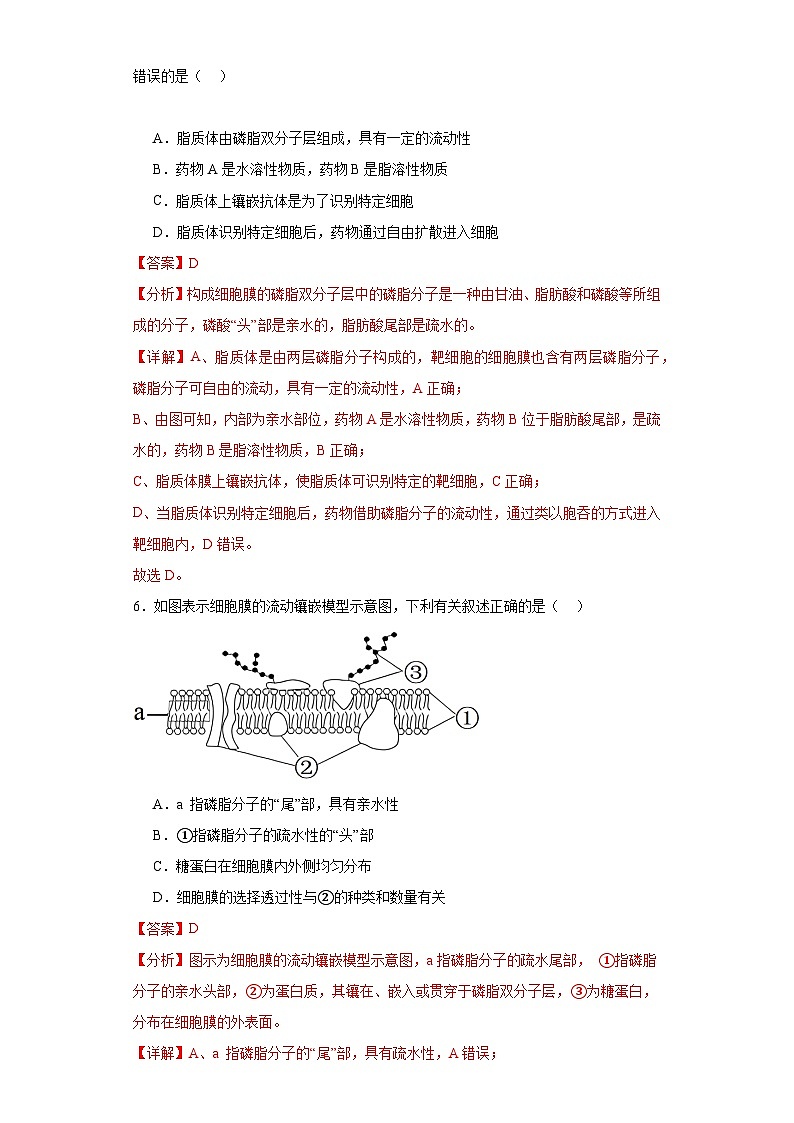 浙科版2019高一生物必修一 2.2细胞膜控制细胞与周围环境的联系 分层练习03