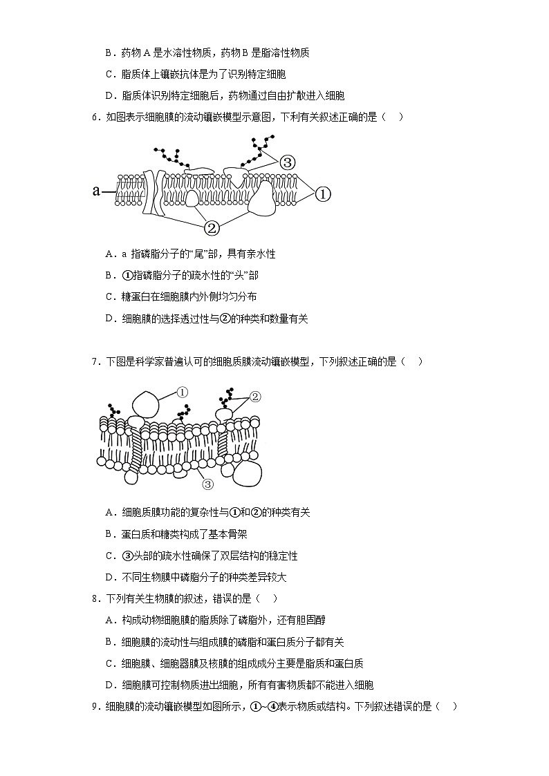 浙科版2019高一生物必修一 2.2细胞膜控制细胞与周围环境的联系 分层练习02