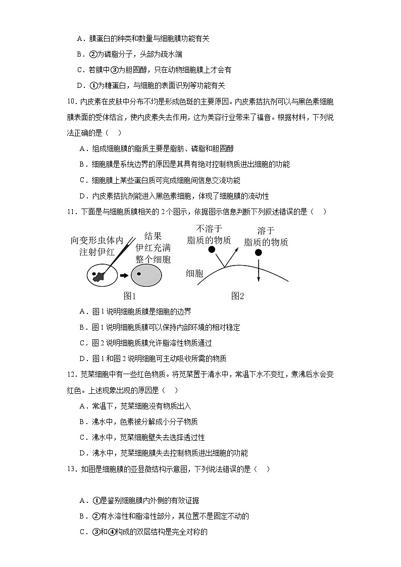 浙科版2019高一生物必修一 2.2细胞膜控制细胞与周围环境的联系 分层练习03