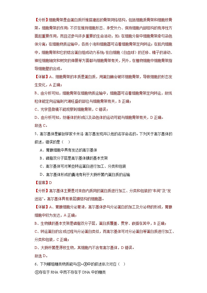 浙科版2019高一生物必修一 2.3细胞质是多项生命活动的场所 分层练习03