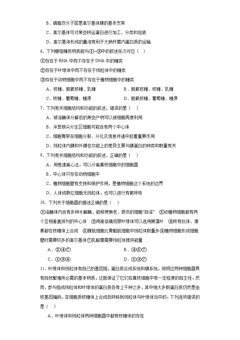 浙科版2019高一生物必修一 2.3细胞质是多项生命活动的场所 分层练习02