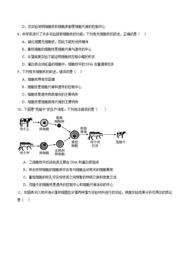 浙科版2019高一生物必修一 2.4细胞核是细胞生命活动的控制中心 分层练习03