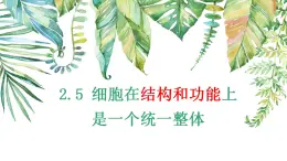 浙科版2019高一生物必修一 2.5细胞在结构和功能上是一个统一整体 课件