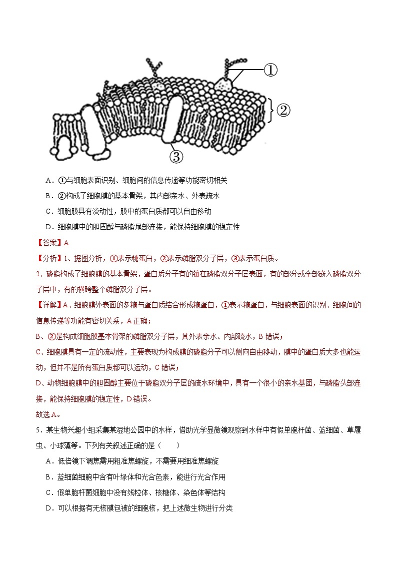 浙科版2019高一生物必修一 第二章细胞的结构 单元测试03