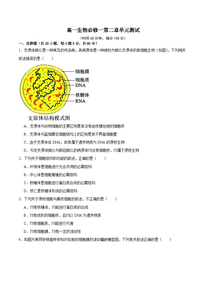 浙科版2019高一生物必修一 第二章细胞的结构 单元测试01