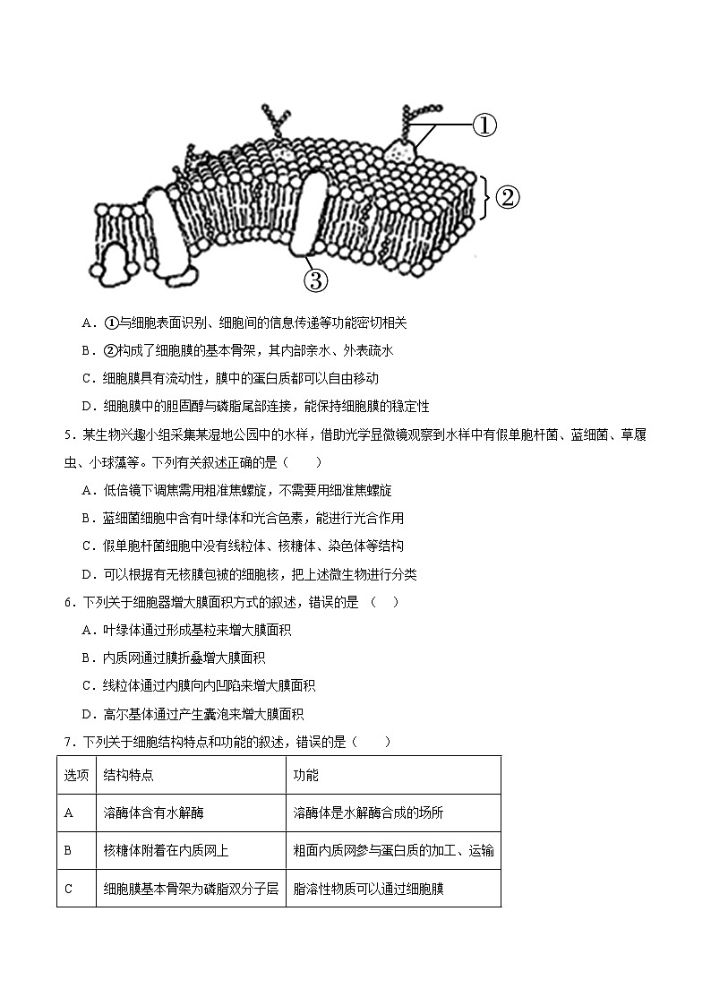 浙科版2019高一生物必修一 第二章细胞的结构 单元测试02