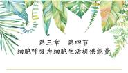 高中生物浙科版 (2019)必修1《分子与细胞》第四节 细胞呼吸为细胞生活提供能量完整版课件ppt