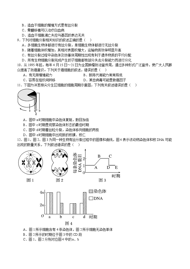 浙科版2019高一生物必修一 4.1细胞通过分裂增殖(针对练)02