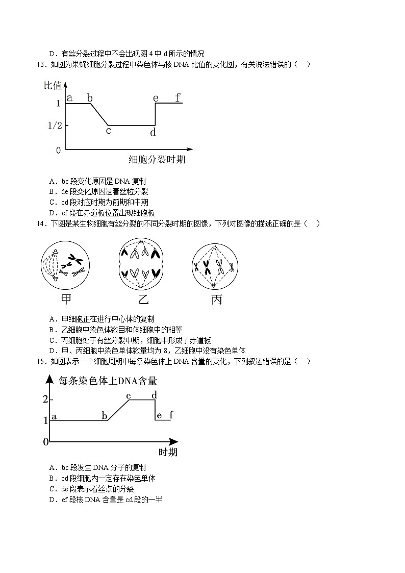 浙科版2019高一生物必修一 4.1细胞通过分裂增殖(针对练)03