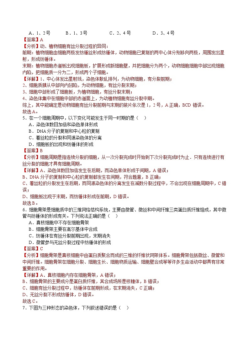 浙科版2019高一生物必修一 4.1细胞通过分裂增殖(针对练)02