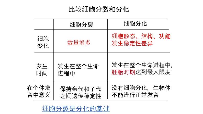 浙科版2019高一生物必修一 4.2细胞通过分化产生不同类型的细胞 课件03