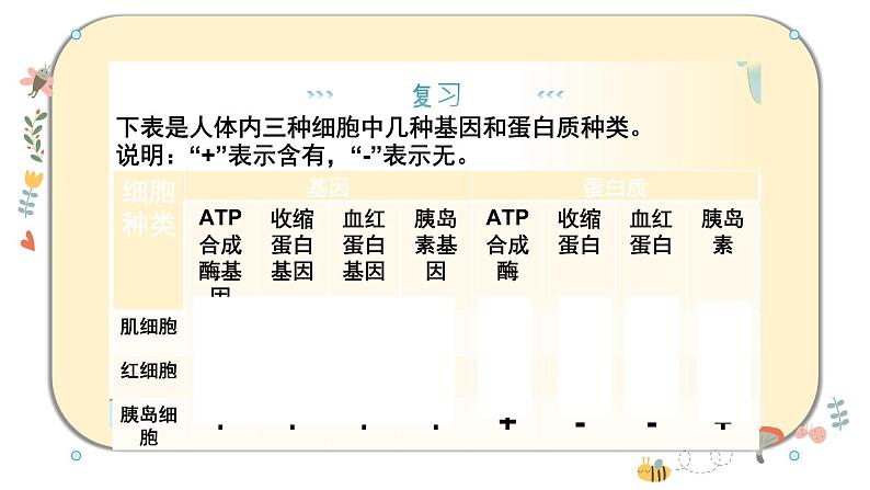 浙科版2019高一生物必修一 4.3细胞凋亡是编程性死亡 课件03