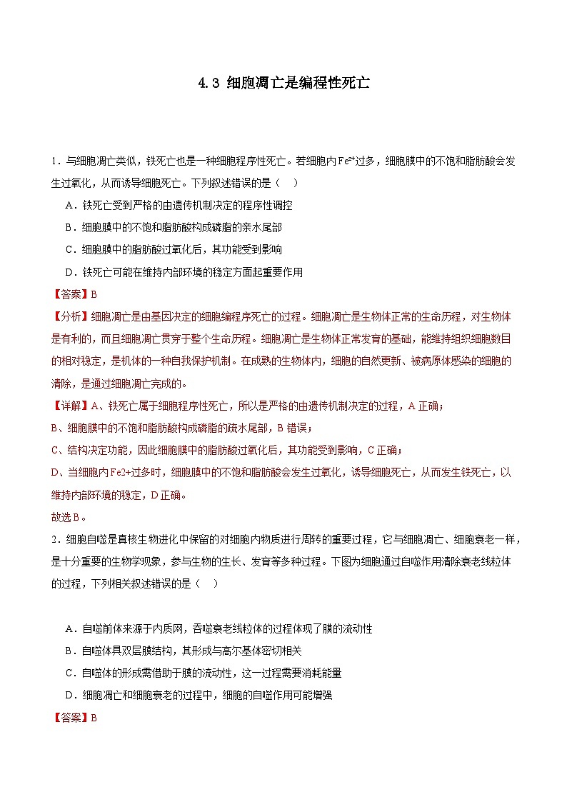 浙科版2019高一生物必修一 4.3细胞凋亡是编程性死亡 分层练习01