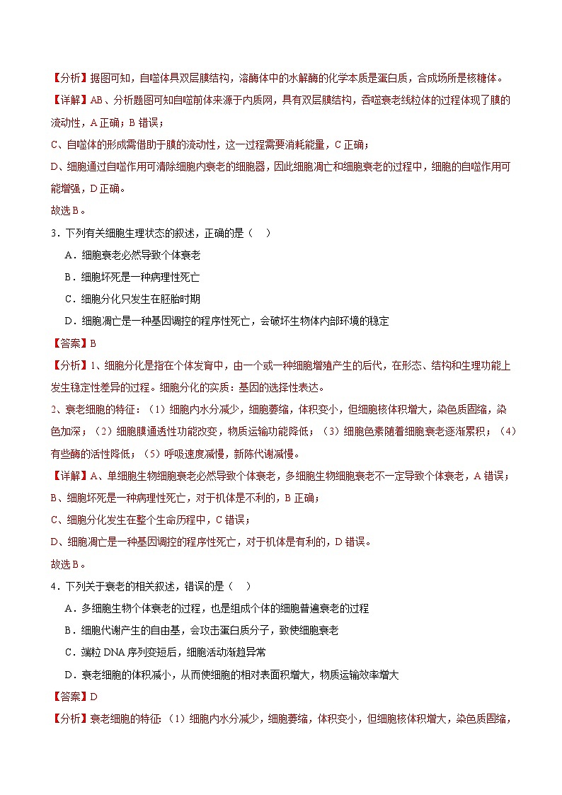 浙科版2019高一生物必修一 4.3细胞凋亡是编程性死亡 分层练习02
