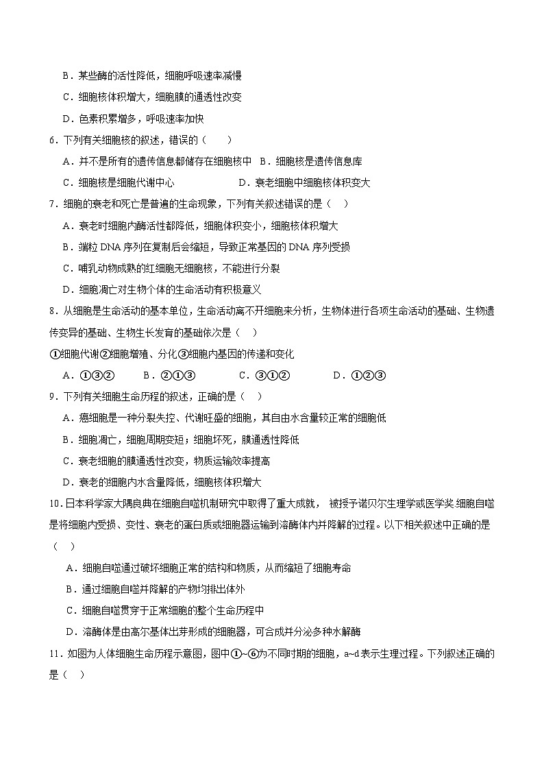 浙科版2019高一生物必修一 4.3细胞凋亡是编程性死亡 分层练习02