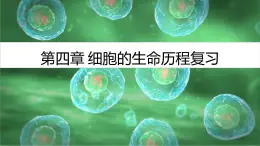 浙科版2019高一生物必修一 第四章细胞的生命历程 章末复习课件