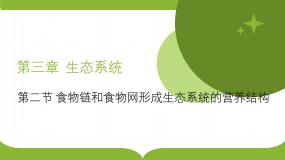 高中生物浙科版 (2019)选择性必修2 生物与环境第二节  食物链和食物网形成生态系统的营养结构公开课课件ppt