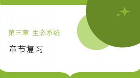 浙科版2019高二生物选择性必修二 第三章生态系统 章末复习课件