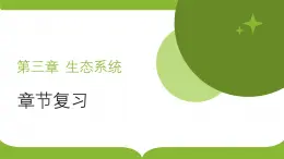 浙科版2019高二生物選擇性必修二 第三章生態(tài)系統(tǒng) 章末復(fù)習(xí)課件