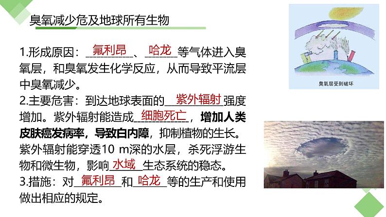浙科版2019高二生物选择性必修二 4.2全球性生态环境问题日益突出 课件05