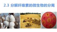 高中人教版 (新课标)课题3 分解纤维素的微生物的分离公开课课件ppt