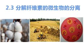 高中人教版 (新课标)课题3 分解纤维素的微生物的分离公开课课件ppt