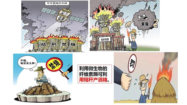 人教版新课标高中生物选修一 同步课件2.3分解纤维素的微生物的分离 课件第3页