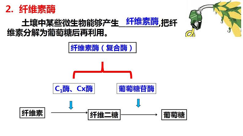 人教版新课标高中生物选修一 同步课件2.3分解纤维素的微生物的分离 课件第7页