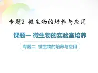 人教版新课标高中生物选修一 同步课件专题2 微生物的培养与应用 课件