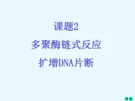 人教版新课标高中生物选修一 同步课件5.2多聚酶链式反应扩增DNA片断 课件