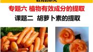 高中生物人教版 (新课标)选修1《生物技术实践》课题2 胡萝卜素的提取精品课件ppt